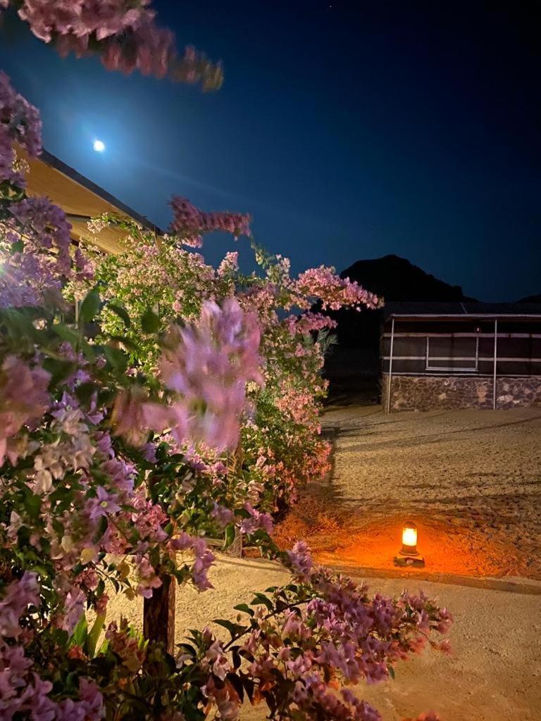 Moon Night Camp Hotel Wadi Rum Exterior foto
