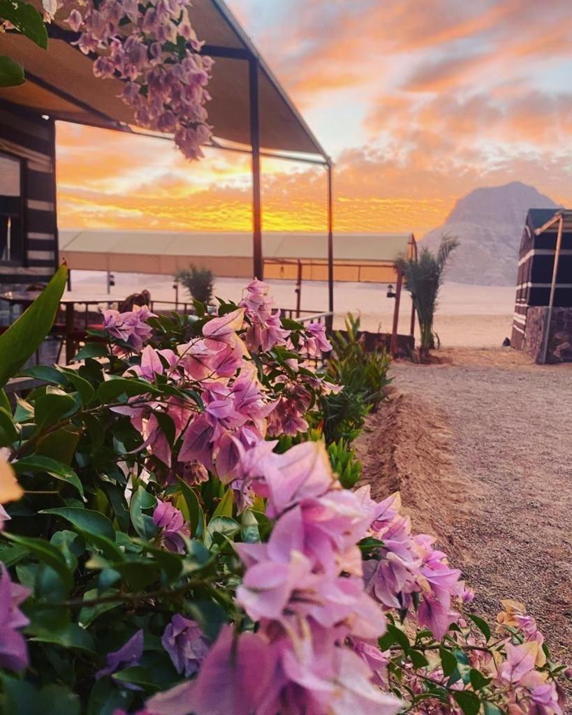 Moon Night Camp Hotel Wadi Rum Exterior foto